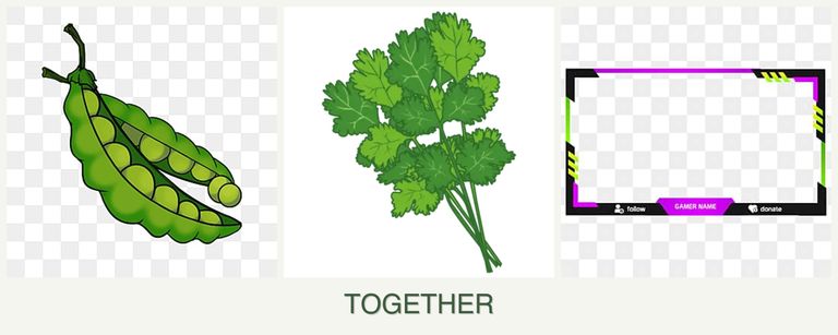 Can you plant peas, cilantro and limes together?