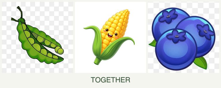 Can you plant peas, corn and blueberries together?