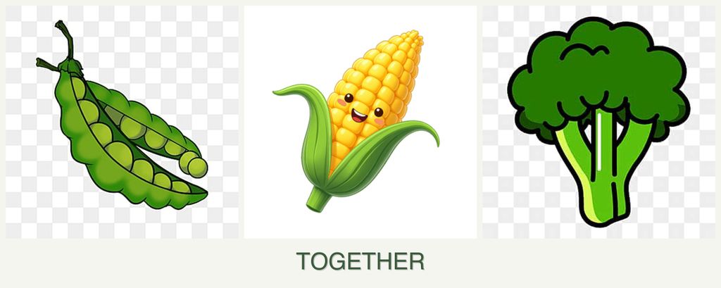 Can you plant peas, corn and broccoli together?