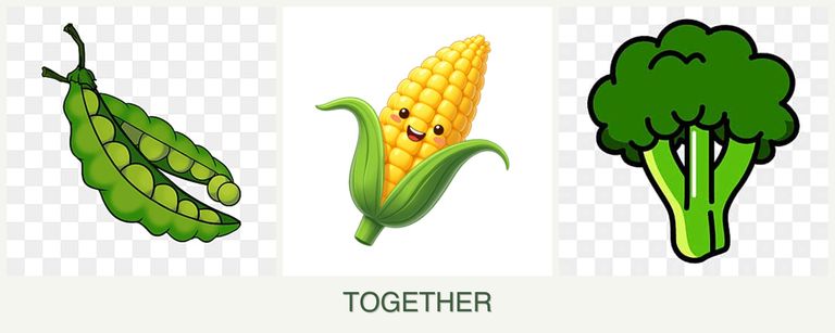 Can you plant peas, corn and broccoli together?