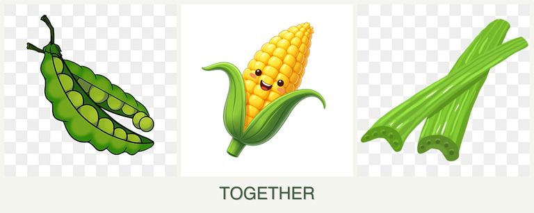 Can you plant peas, corn and celery together?
