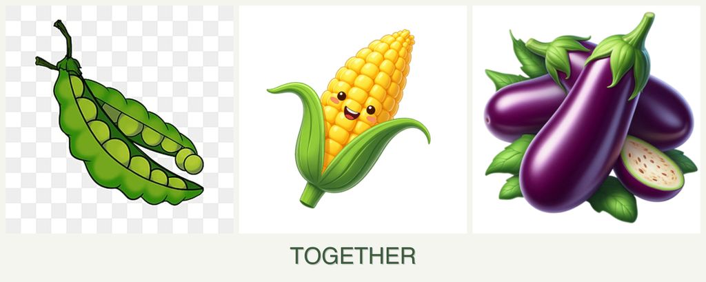 Can you plant peas, corn and eggplant together?