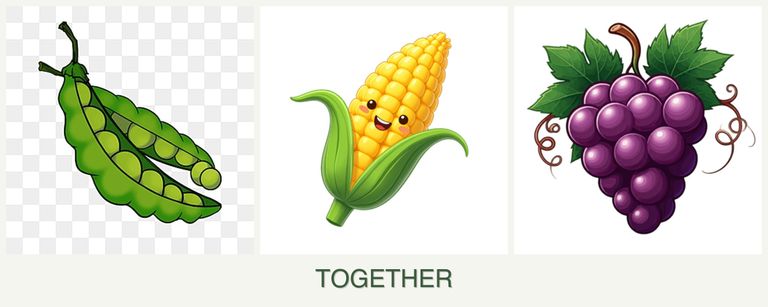 Can you plant peas, corn and grapes together?