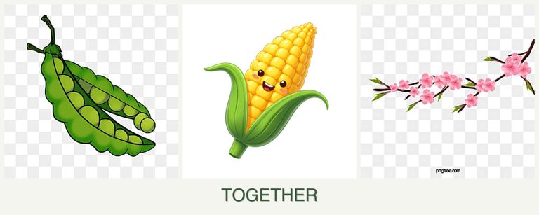 Can you plant peas, corn and peaches together?