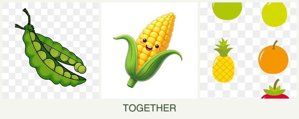 Can you plant peas, corn and pears together?