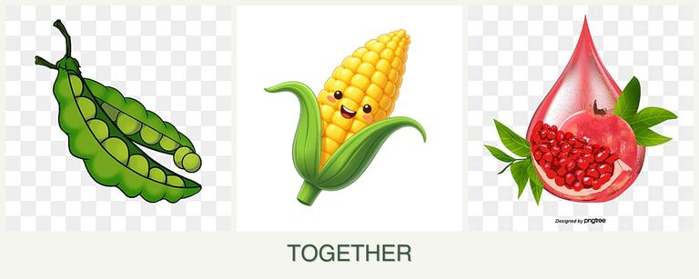Can you plant peas, corn and pomegranates together?