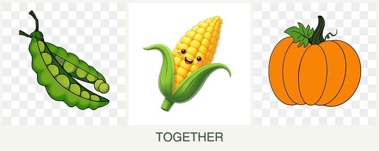 Can you plant peas, corn and pumpkin together?
