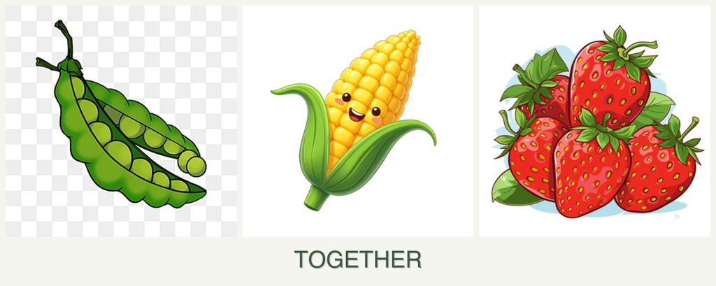 Can you plant peas, corn and strawberries together?