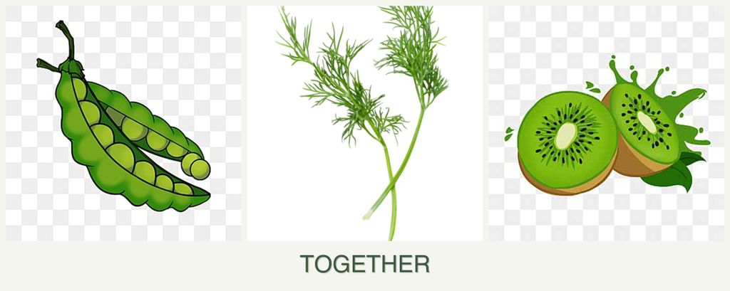 Can you plant peas, dill and kiwi together?