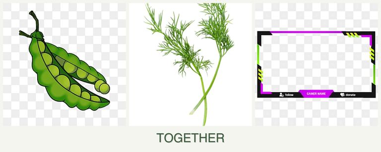 Can you plant peas, dill and limes together?