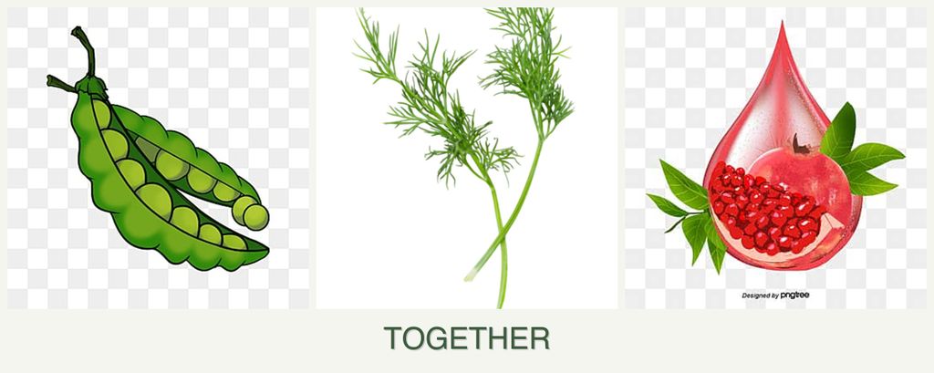 Can you plant peas, dill and pomegranates together?