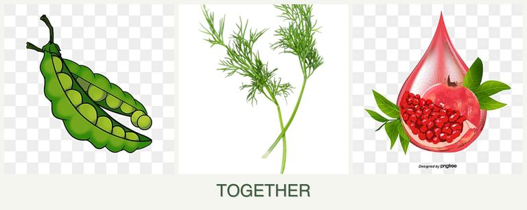 Can you plant peas, dill and pomegranates together?