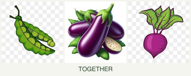 Can you plant peas, eggplant and beets together?