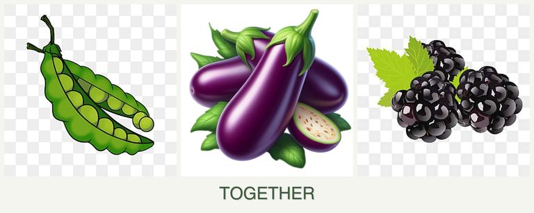 Can you plant peas, eggplant and blackberries together?