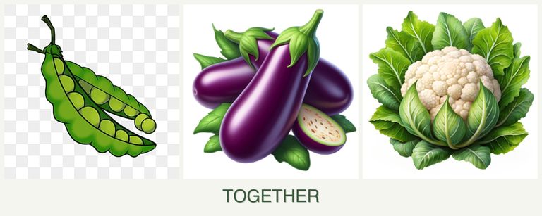 Can you plant peas, eggplant and cauliflower together?