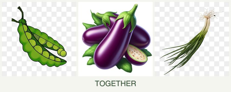 Can you plant peas, eggplant and chives together?