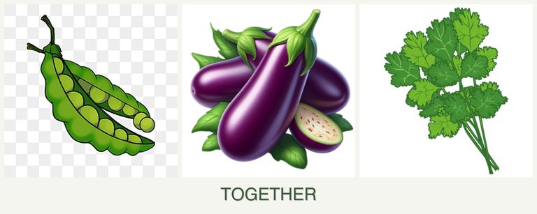 Can you plant peas, eggplant and cilantro together?