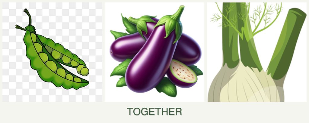 Can you plant peas, eggplant and fennel together?