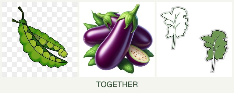 Can you plant peas, eggplant and kale together?