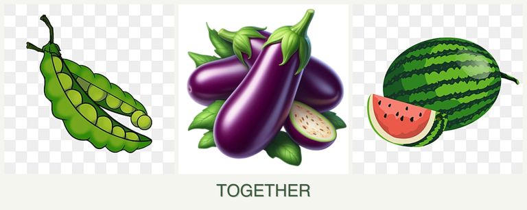Can you plant peas, eggplant and melons together?