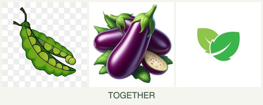 Can you plant peas, eggplant and mint together?