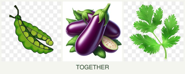 Can you plant peas, eggplant and parsley together?
