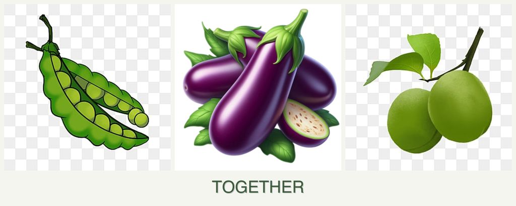 Can you plant peas, eggplant and plums together?