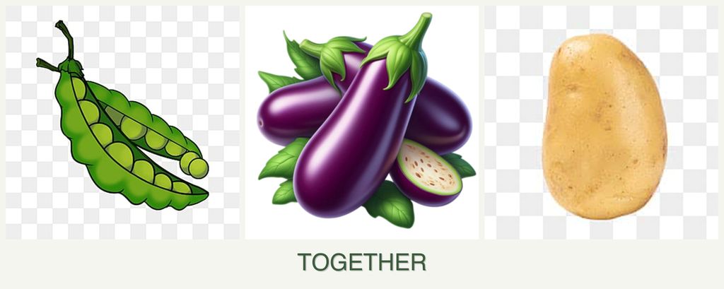 Can you plant peas, eggplant and potatoes together?