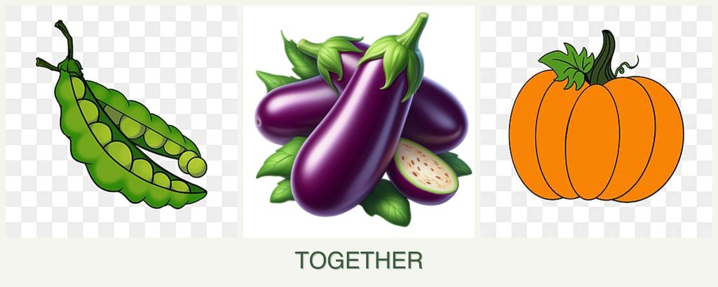 Can you plant peas, eggplant and pumpkin together?