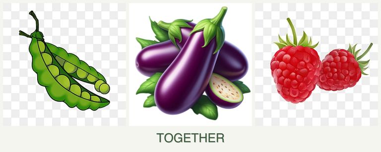 Can you plant peas, eggplant and raspberries together?