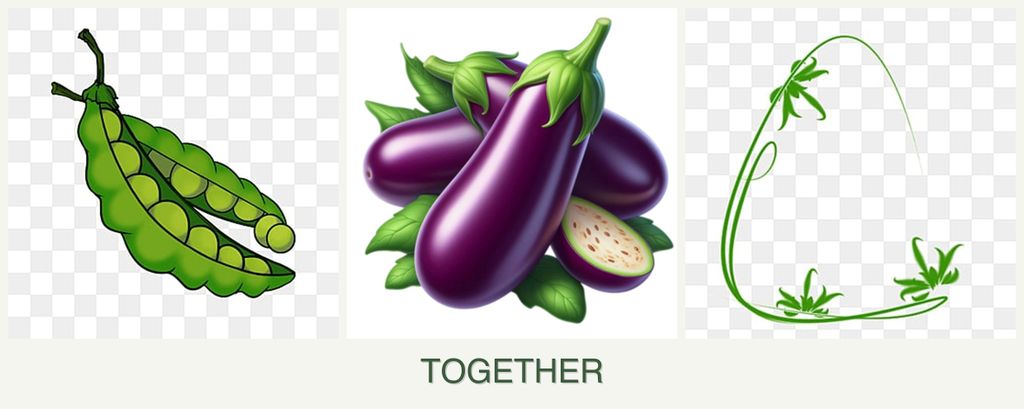 Can you plant peas, eggplant and tarragon together?
