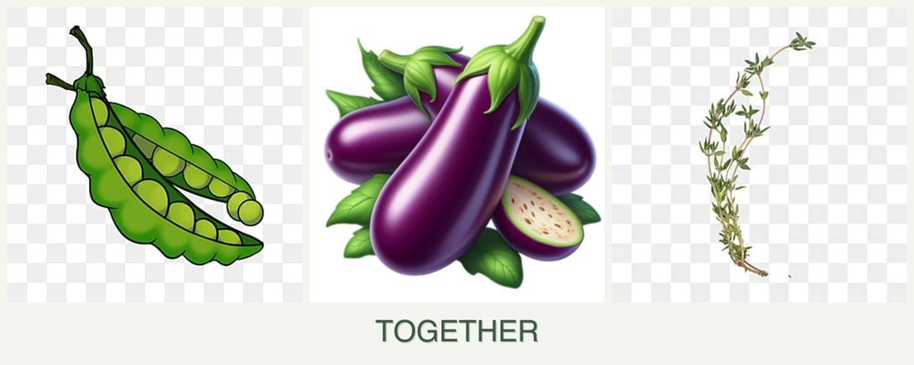 Can you plant peas, eggplant and thyme together?