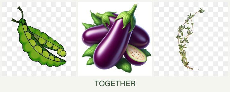 Can you plant peas, eggplant and thyme together?