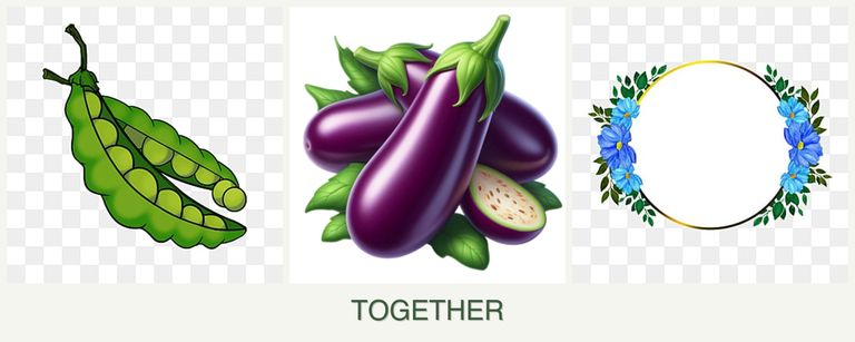 Can you plant peas, eggplant and zinnias together?