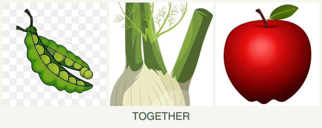 Can you plant peas, fennel and apples together?
