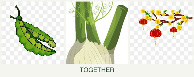 Can you plant peas, fennel and apricots together?