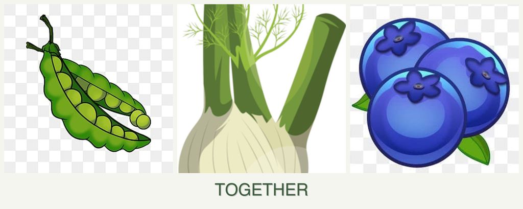 Can you plant peas, fennel and blueberries together?