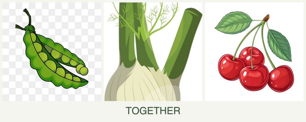Can you plant peas, fennel and cherries together?