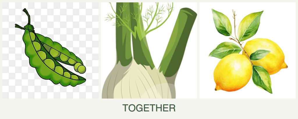 Can you plant peas, fennel and lemons together?
