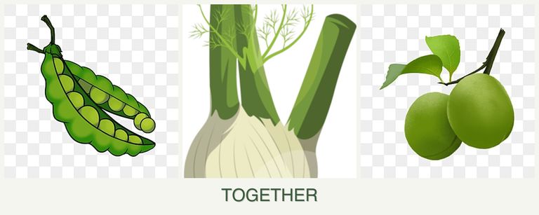 Can you plant peas, fennel and plums together?