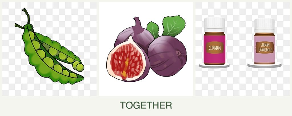 Can you plant peas, figs and geraniums together?