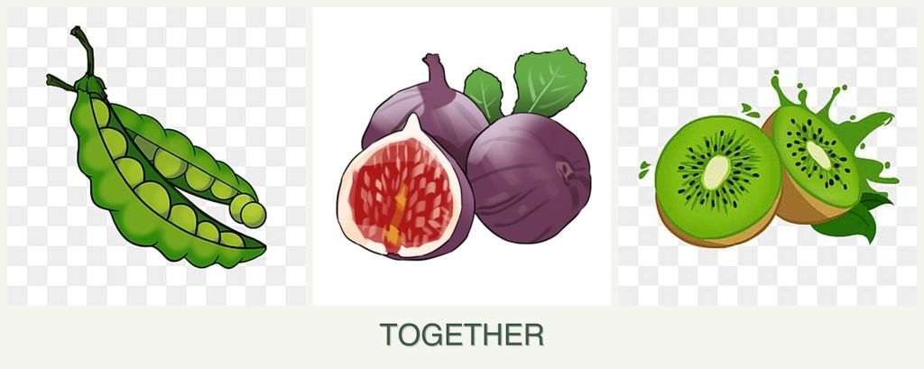 Can you plant peas, figs and kiwi together?