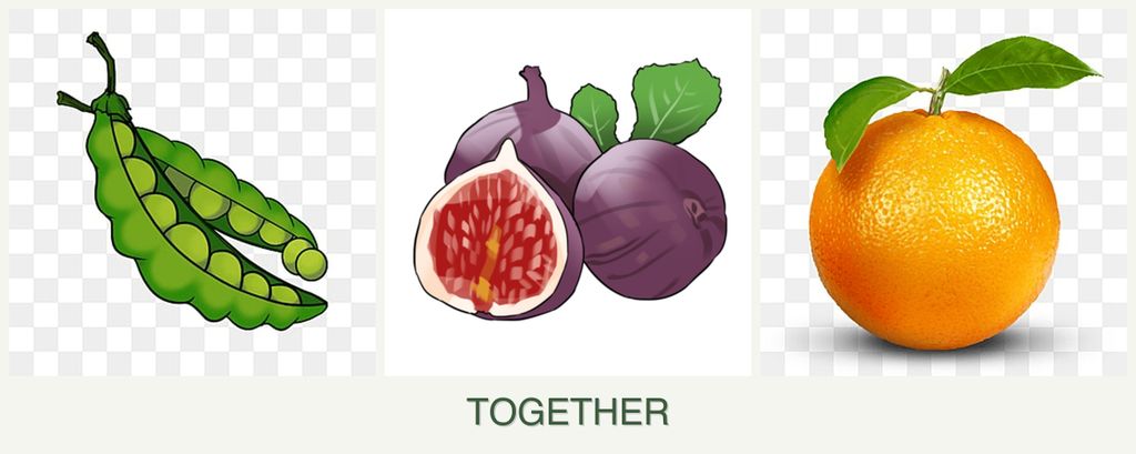 Can you plant peas, figs and oranges together?
