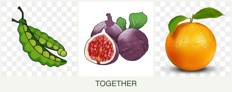 Can you plant peas, figs and oranges together?