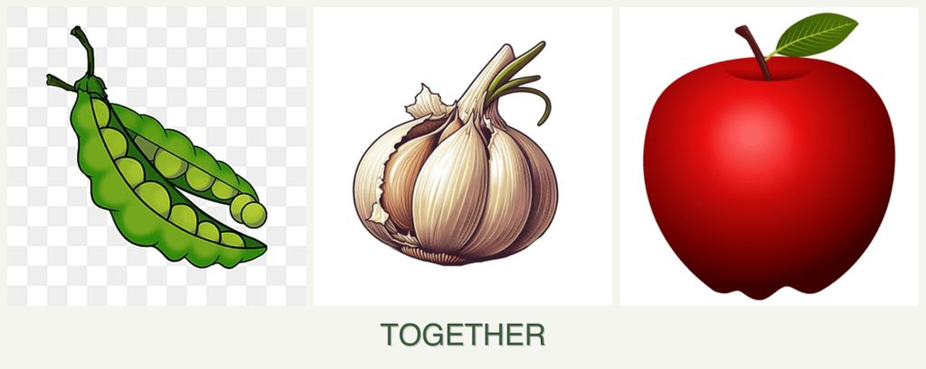 Can you plant peas, garlic and apples together?