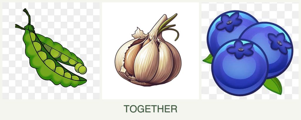 Can you plant peas, garlic and blueberries together?