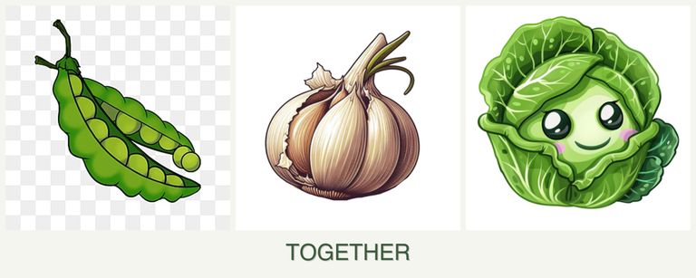 Can you plant peas, garlic and cabbage together?
