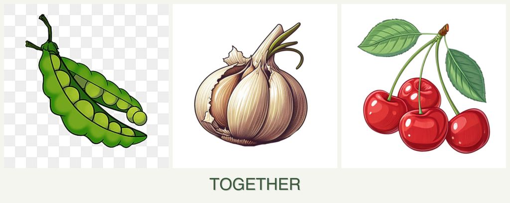 Can you plant peas, garlic and cherries together?
