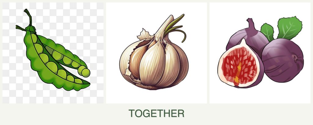 Can you plant peas, garlic and figs together?