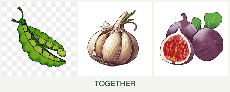 Can you plant peas, garlic and figs together?